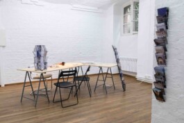 Tian Guoxin 田果欣