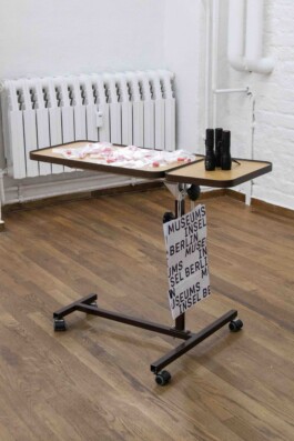 Tian Guoxin 田果欣